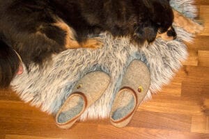 Bosonogi copati Crop (naravna z rjavo) | Proalp obutev