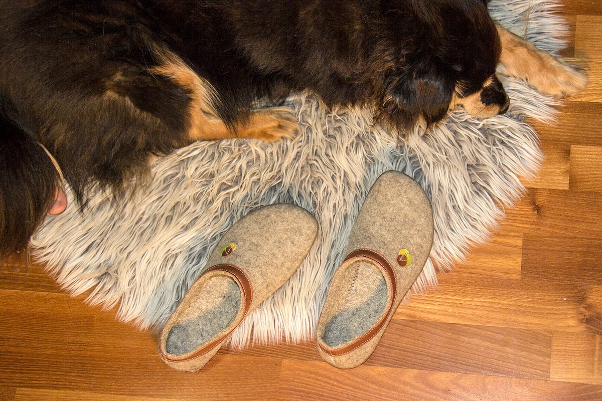 Bosonogi copati Crop (naravna z rjavo) | Proalp obutev